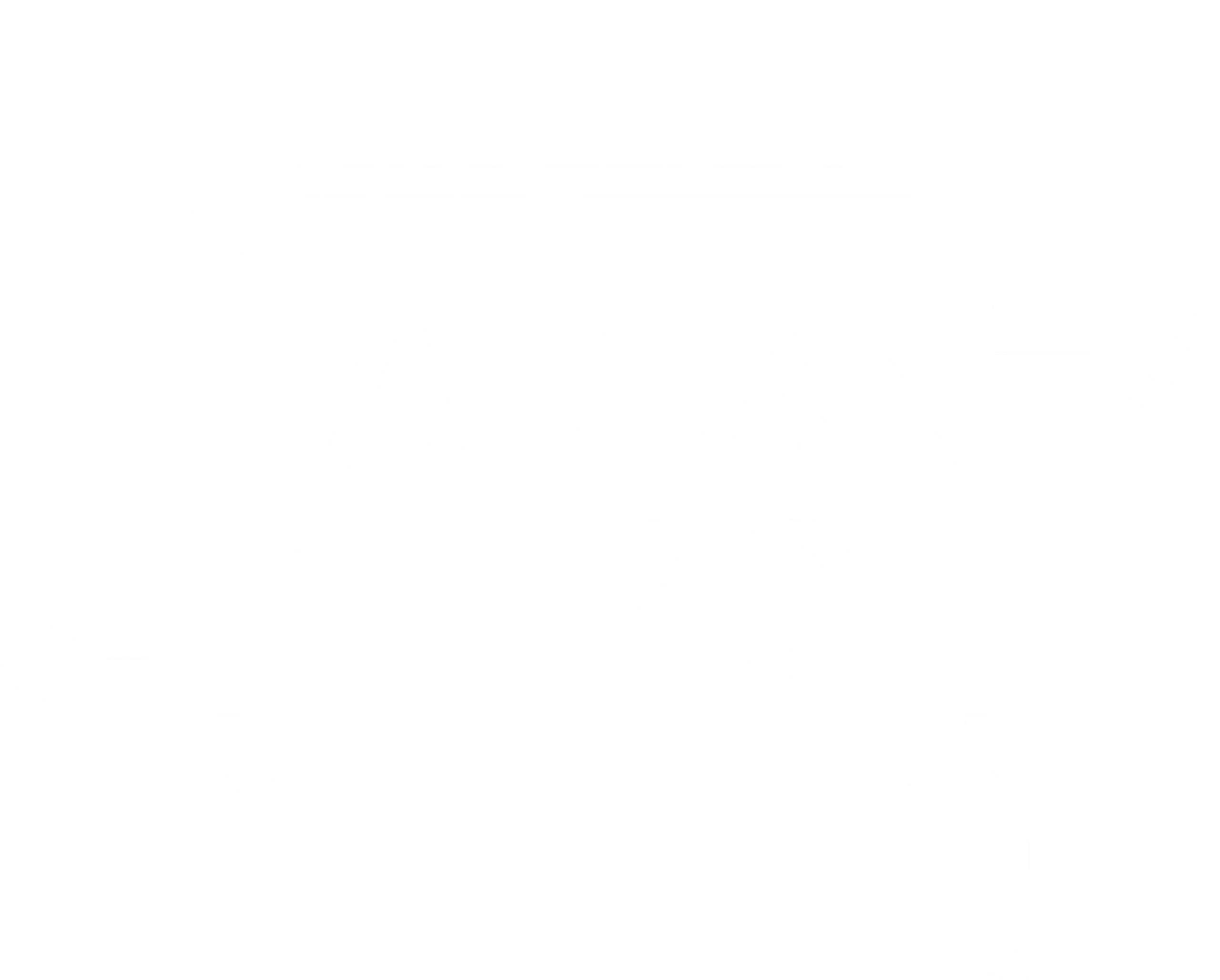 Fabian Fresch Logo Weiß
